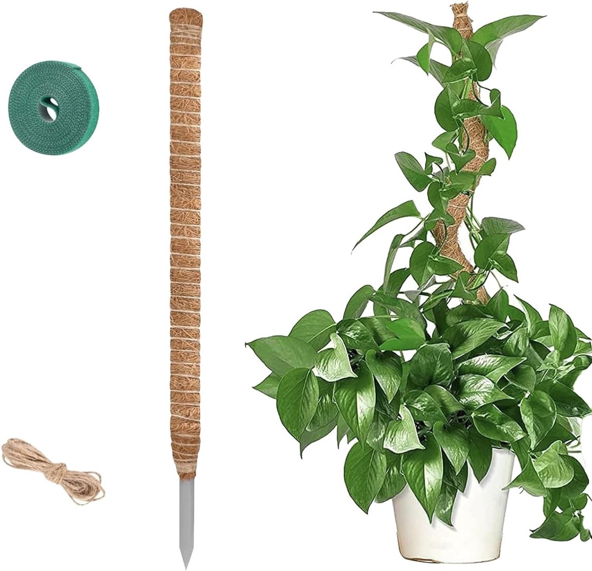 Moss stick voor Monstera en andere klimplanten, klimondersteuning met accessoires zoals zelftappende kabelbinders en bevestigingskoord (1,60 meter)