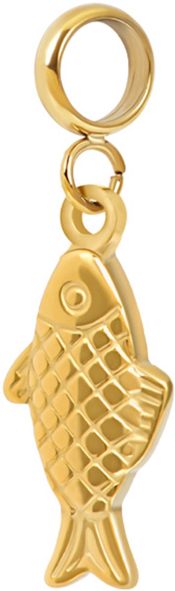 iXXXi Connect Bedel Dory | Goud