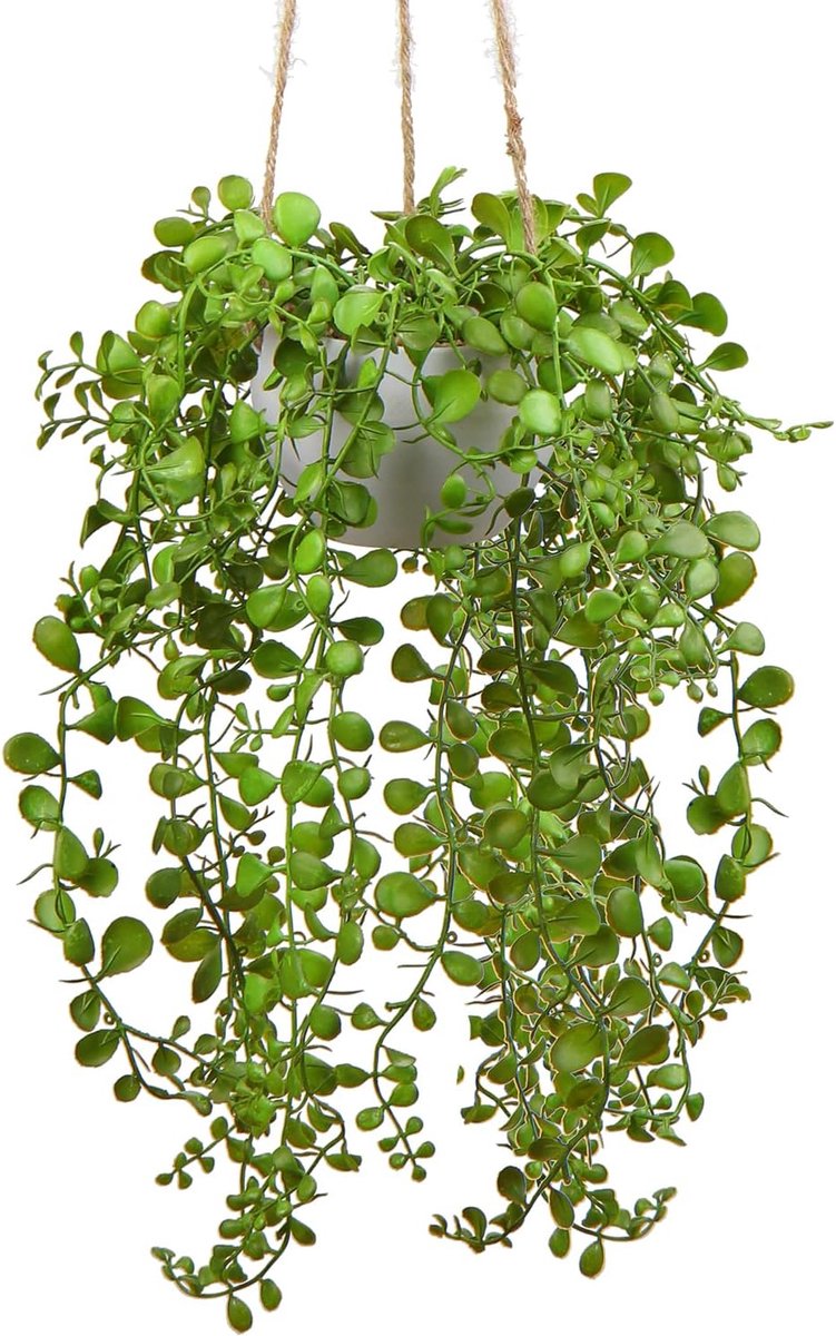 Thijox - Kunstmatige Hangende Parelsnoer - 35 cm Faux Vetplant in Witte Keramische Pot - Decoratie voor Thuis, Wanddecoratie, Badkamer, Kantoor, Boho
