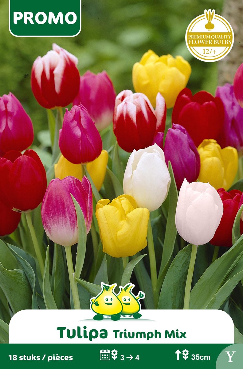 1 Zakje Promoverpakking Tulpen Mix 18 stuks maat 12/+