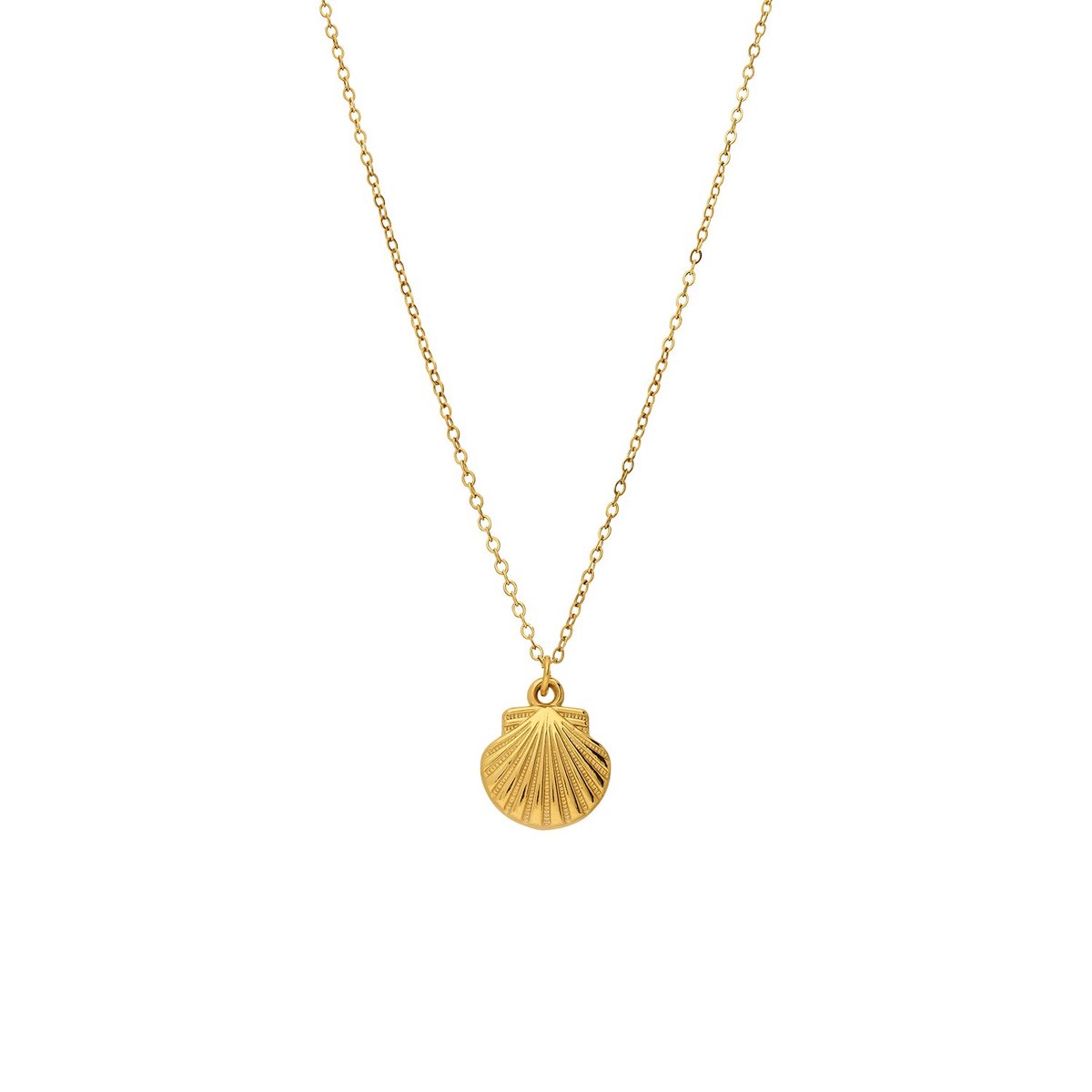 Lucardi Dames Stainless steel ketting met hanger schelp voor dames - Ketting - Staal - Goudkleurig - 47 cm