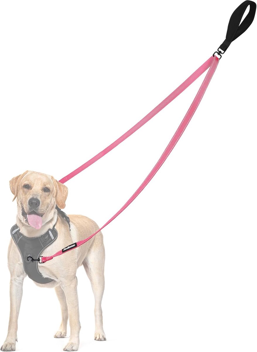 SnelShoppen - No Pull Hondenriem voor Grote en Middelgrote Honden, Dubbele Leash met Reflecterende Stroken, Anti-Trek Hondentuig, Geen Tangles, Traini
