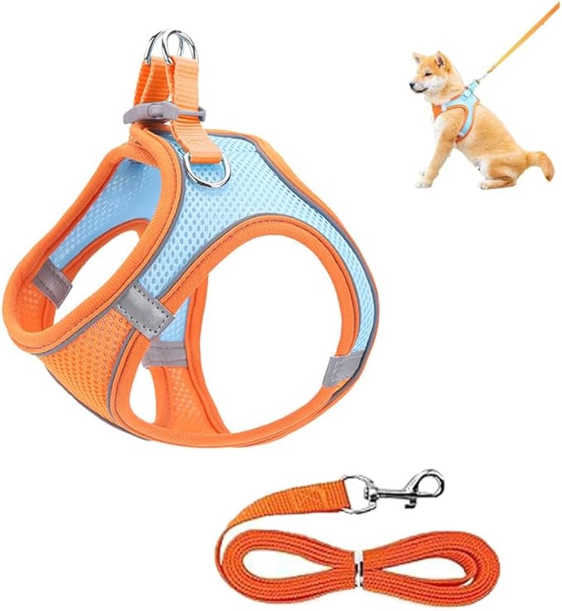 Hondentuig en Riem Set – Reflecterend & Ademend Mesh – Voor Kleine en Middelgrote Honden en Katten Blauw