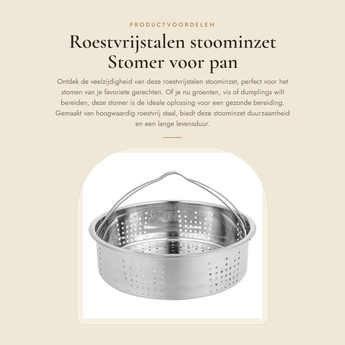 Dailygoods- Stoominzet Roestvrij Staal - Stoompan - Stoommand - Voedselstomer - Kookgerei - Duurzaam Materialen - Stomer