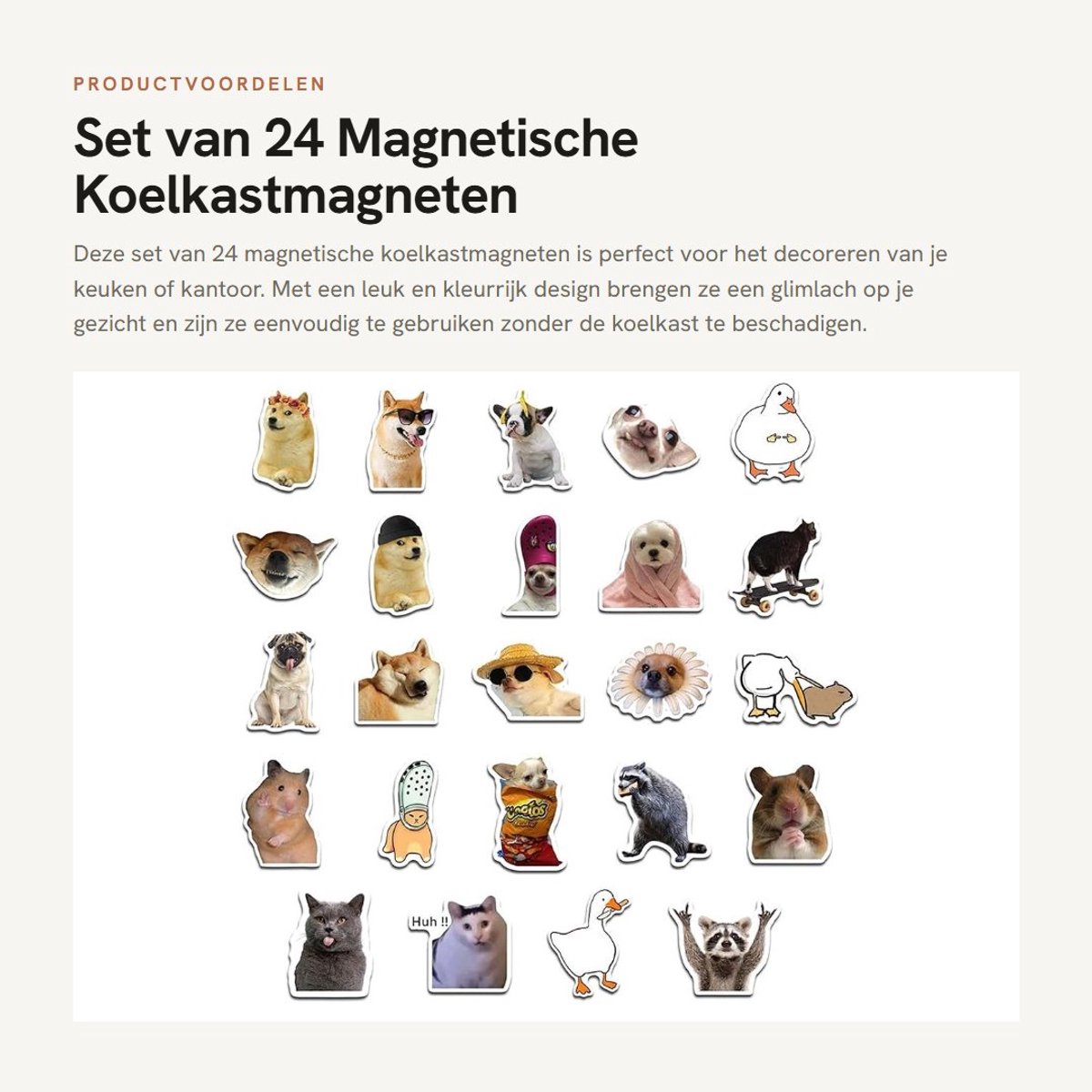 Dailygoods- Koelkastmagneten 24 Stuks - Grappige Dieren Magneten - Flexibel - Huisdecoratie - Voor Keuken/Kantoor - Mooi Design