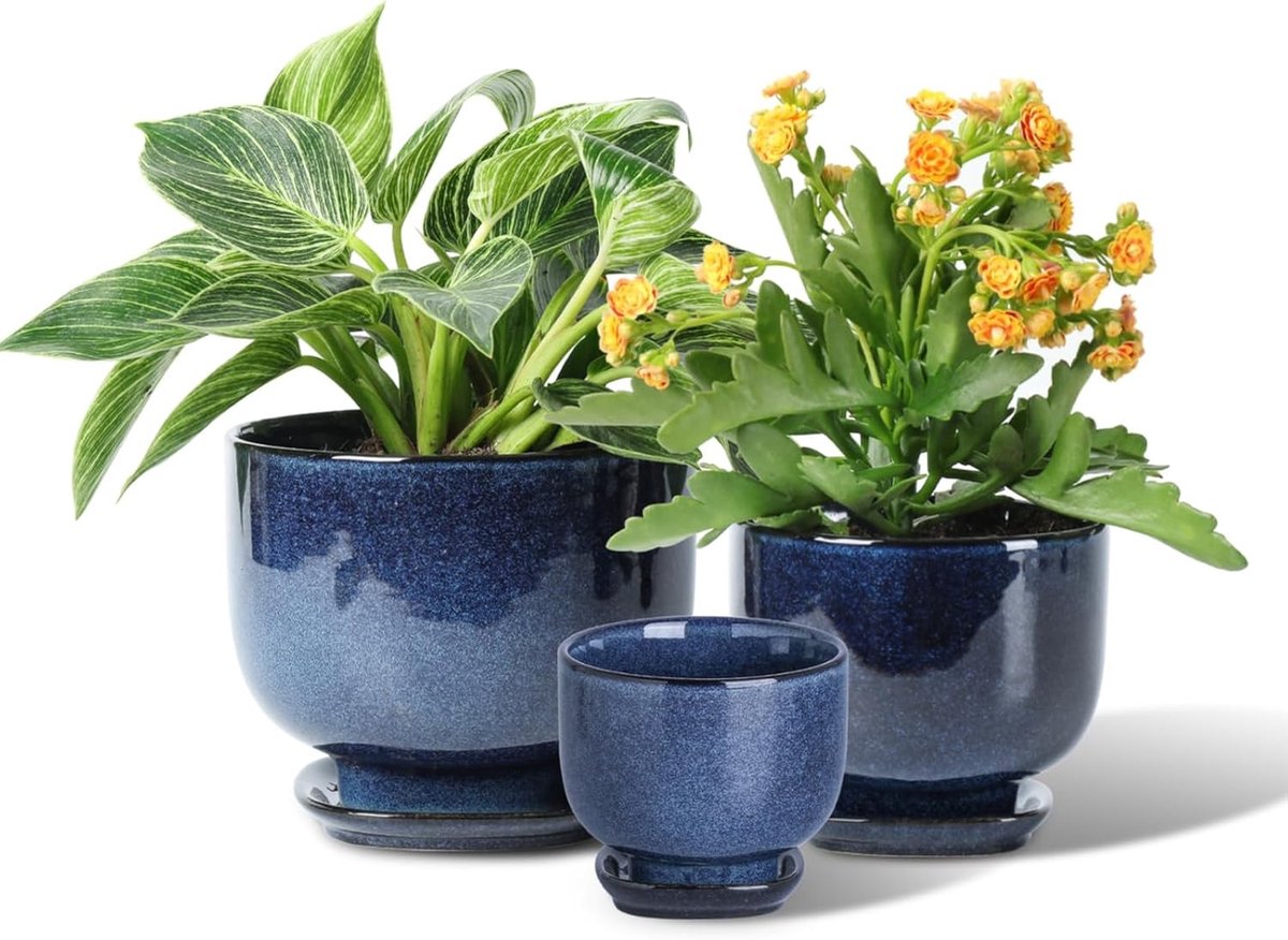 Set van 3 Keramische Plant Potten voor Binnen - 17.3/14.0/11cm - Met Afvoergat en Schotel voor Vetplanten, Orchideeën en Kruiden - Perfect voor Tuinieren en Decoratie in Huis en Kantoor