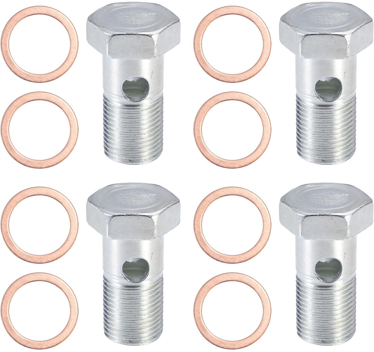 Dailygoods- Schroefset 12 Stuks - Motorfiets Holle Schroeven - Zilveren Toon - Precisie Bewerkt - Duurzaam Metaal - Geschikt voor Remklauwen - Motorfiets Bouten