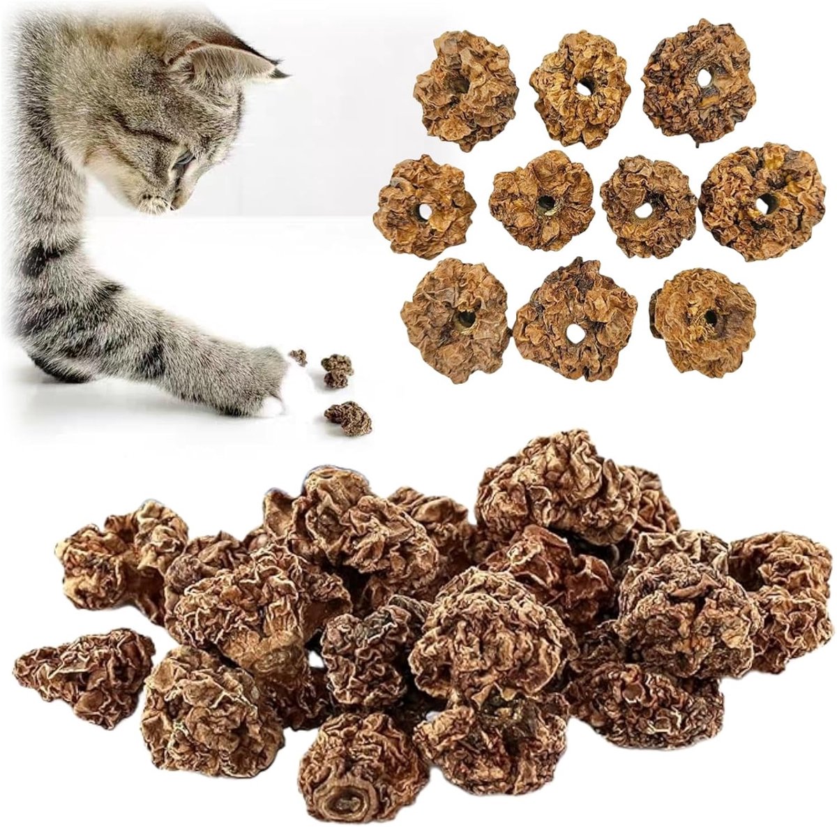 SnelShoppen - Fruits Like Cats Speelgoed voor Katten - 20 Stuks Matatabi Fruit Speelgoed - Natuurlijk en Eetbaar - Tandreiniging Speelgoed voor Katten