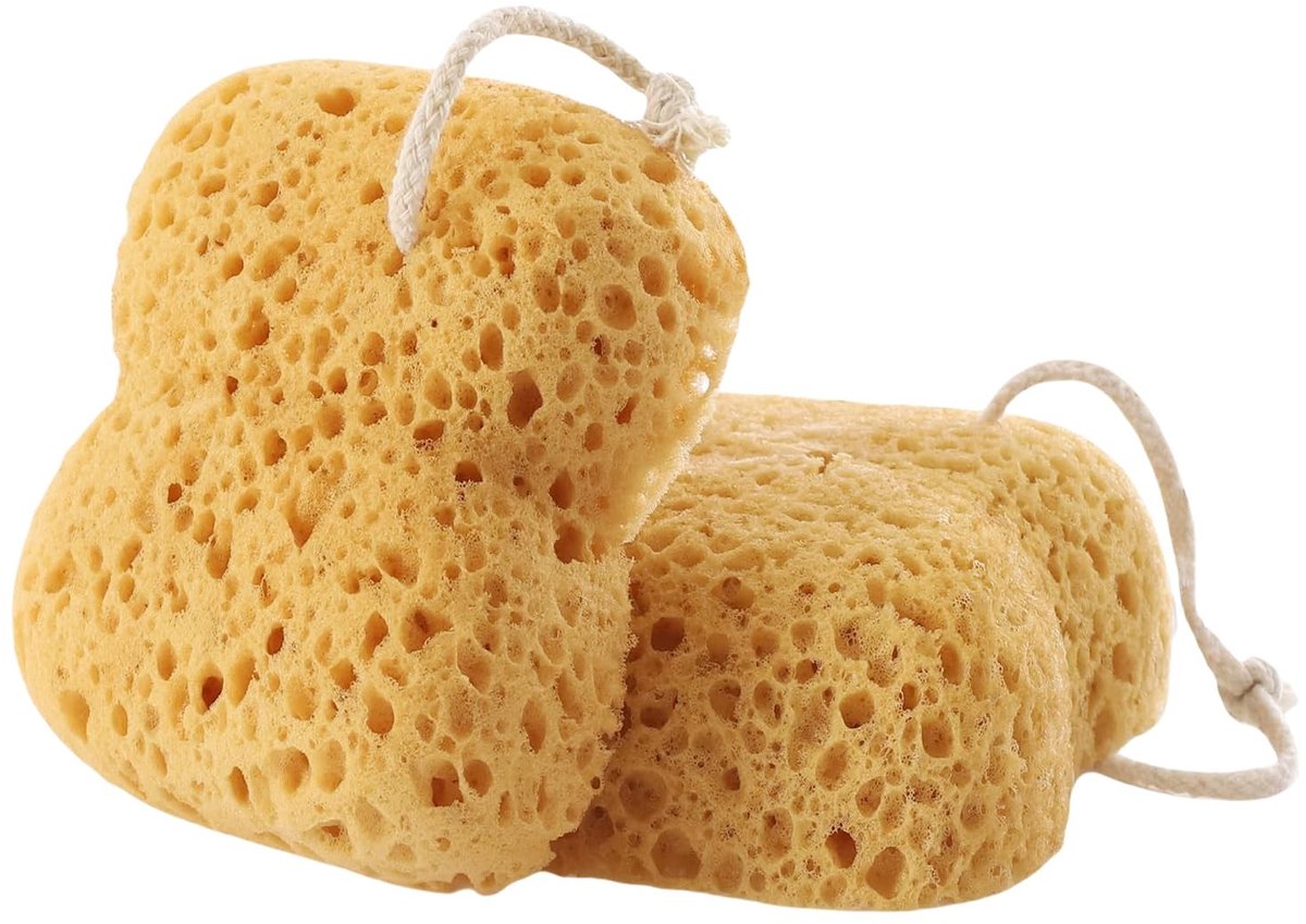 Dailygoods- Douchespons Zachte Exfoliatie - Poreus/Absorberend - Duurzaam - Geschikt Voor Alle Huidtypes - Handige Lus - Rijke Schuimvorming - Badschwamm