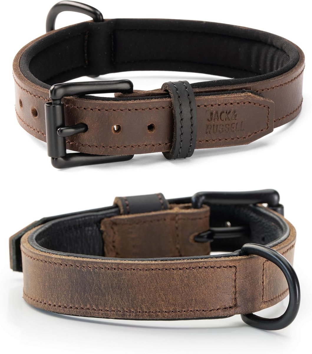 SnelShoppen - Hondenhalsband van Echt Leer en Neopreen – Gewatteerd en Robuust voor Kleine en Grote Honden – Premium Halsband Craig (S) - Duurzaam en