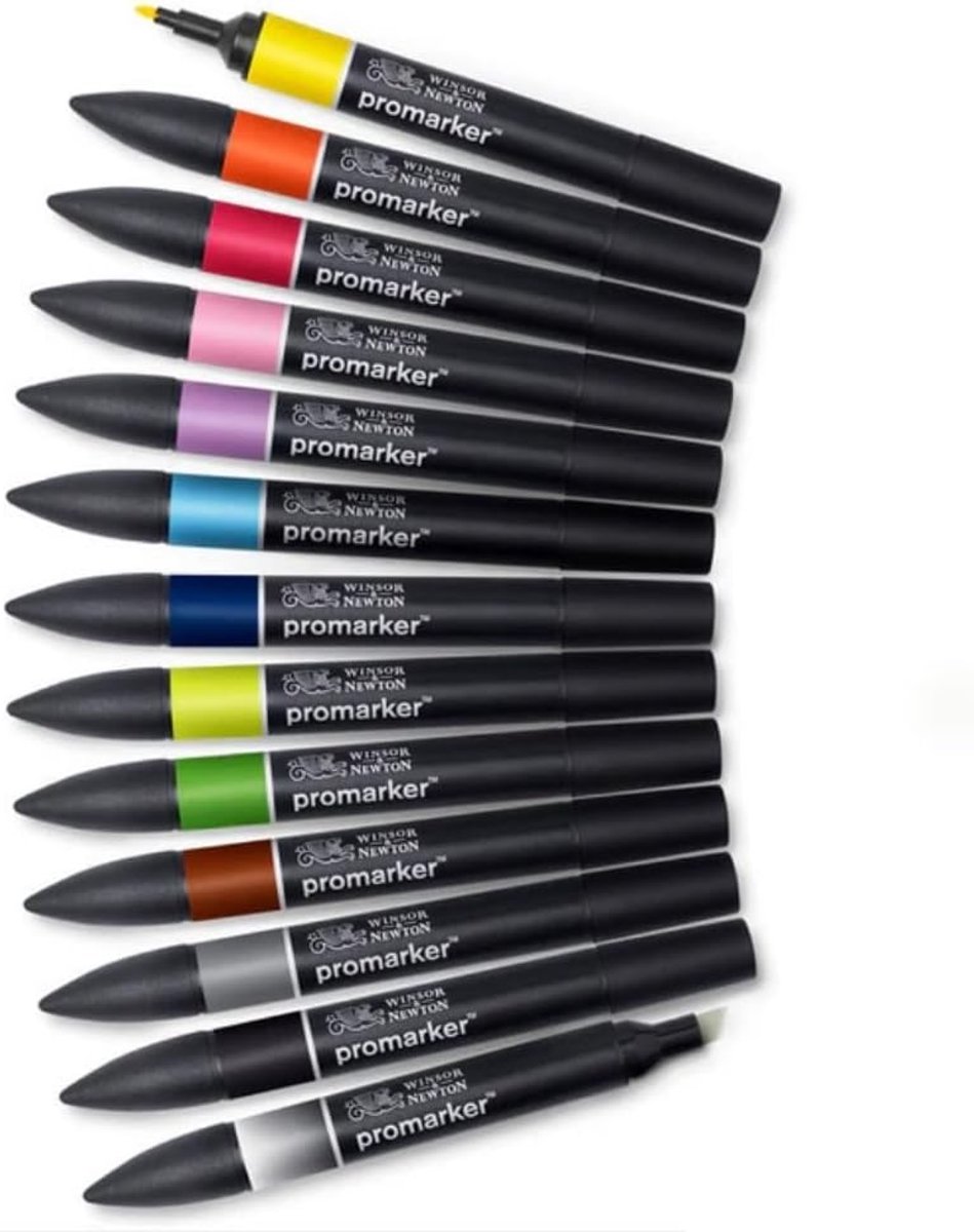 Thijox - Professionele Promarker Set 12 - Dubbele Punt Layoutmarker voor Tekeningen en Ontwerpen - Alcoholgebaseerde Inkt - Fijn en Breed - Kleurige S