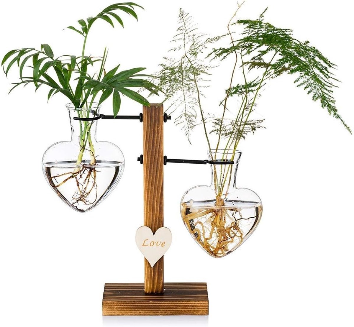 Moderne Glazen Plant Terrarium met Houten Stand, Creatieve Hartvormige Hydroponische Vazen voor Binnen, Ideaal voor Desk en Indoor Tuin Decoratie
