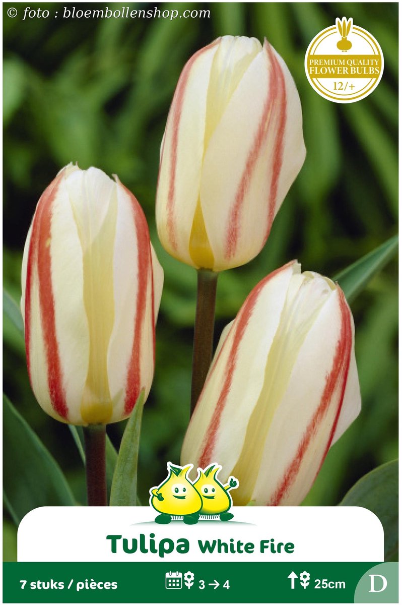 2 Zakjes Gregii White Fire maat 12/+