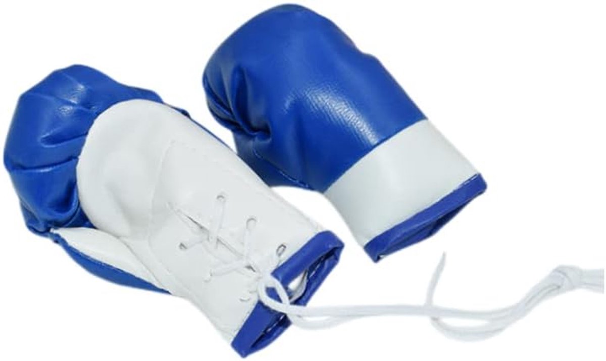 Mini Bokshandschoenen - Decoratieve Accessoires - Auto Decoratie - Realistische Details - 10 cm - Blauw Wit