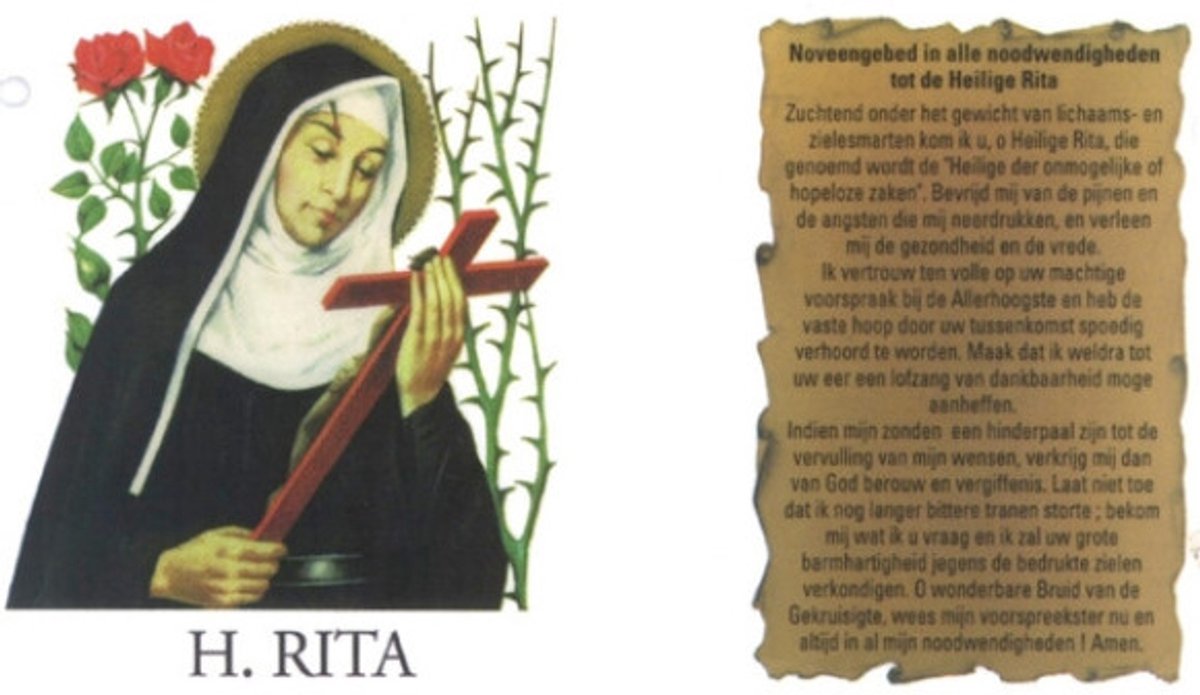 Noveenkaars Wit H.rita 07