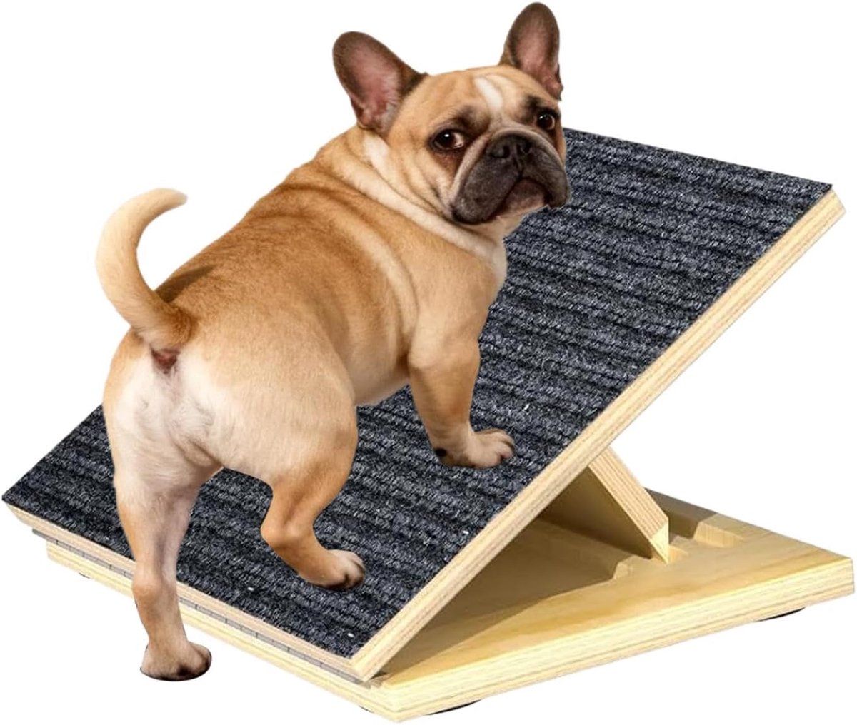 Thijox - Hondentrappen Opvouwbare Verstelbare Antislip Ladder voor Huisdieren | Puppy Kitten Trapjes voor Binnen, Geschikt voor Klein, Middelgroot en