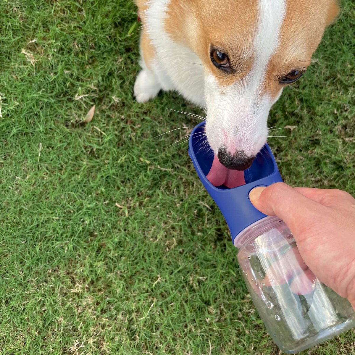 Thijox - Draagbare hond waterfles 28 oz, lekvrije puppy waterdispenser met drinkbak, veilig food grade plastic voor buiten, wandelen, reizen, BPA-vrij
