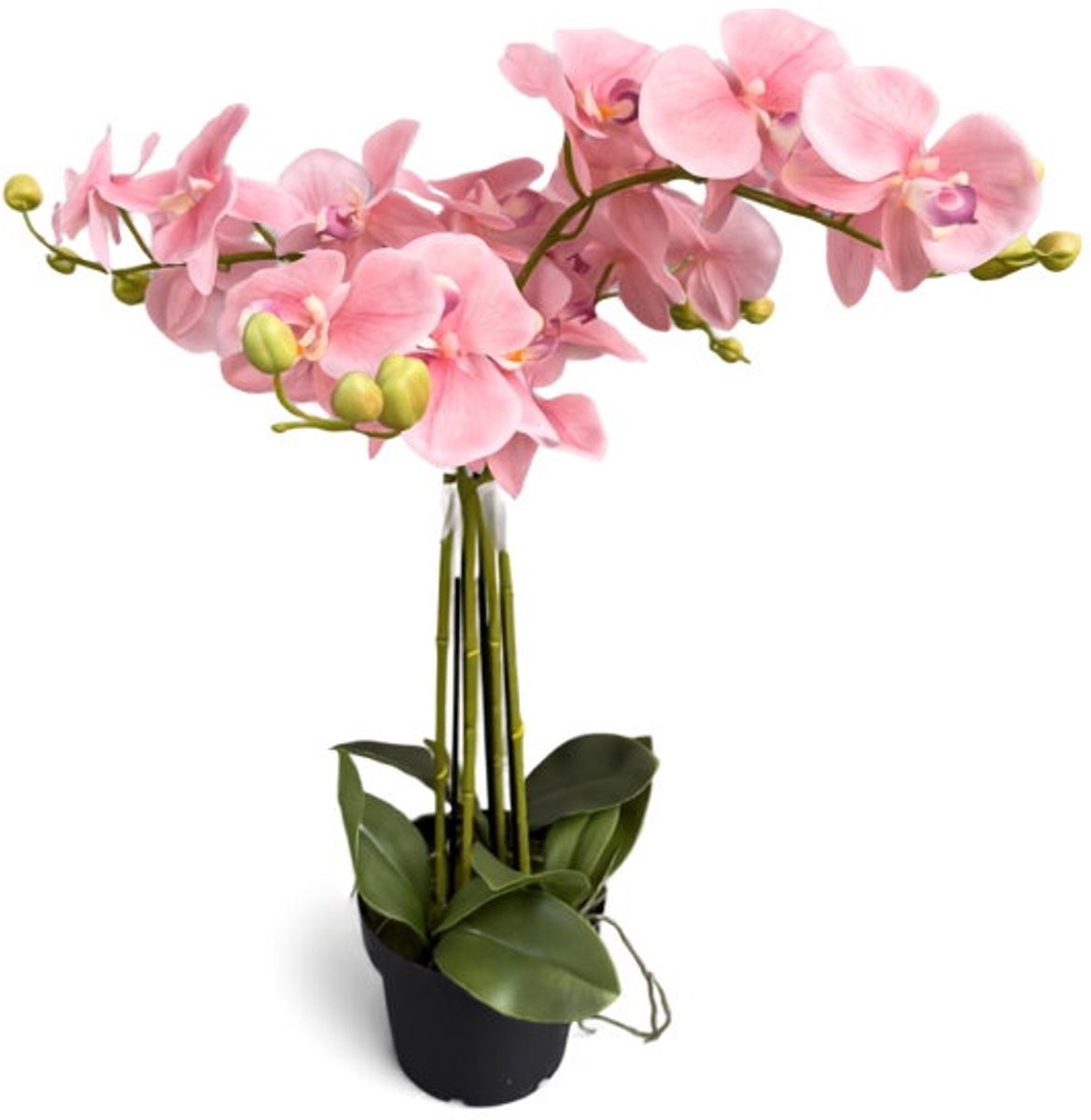 Orchidee new pink in pot H 65 cm kunstplant Oosterik Home