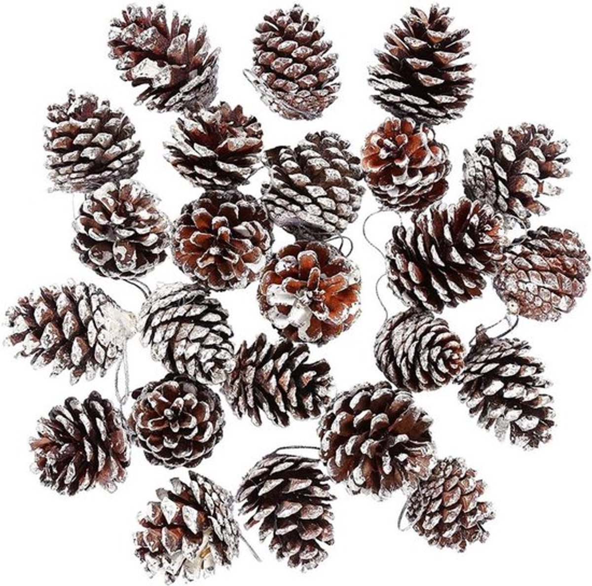 Natuurlijke Dennenappels voor Kerstboomversiering en Cadeaukaartjes - Feestelijke Hangende Decoratie - Set van 30 (Wit)