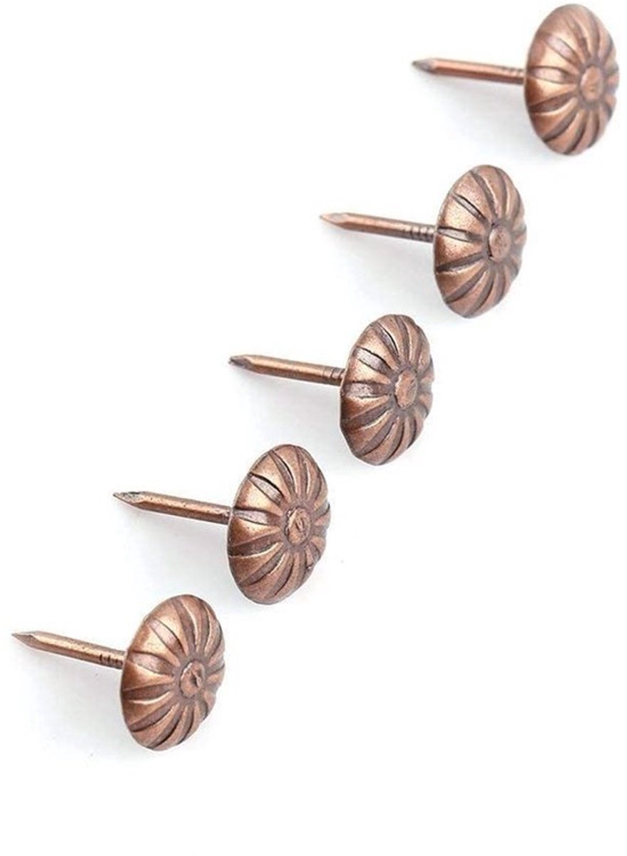 Bekleding Nagels 100 Stuks - Antiek Brons - Ronde Kop - Decoratieve Nagels - Meubels/Schoenen/Deuren - Maat 11×16 mm