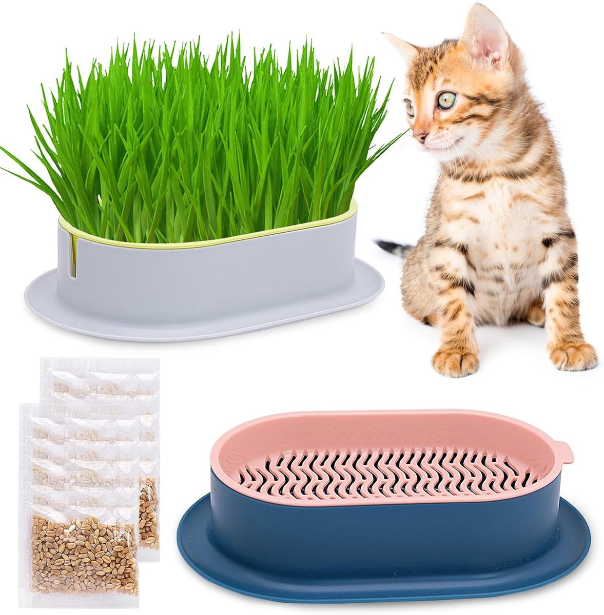 Klei Pot voor Kattengras, Hydroponische Gras Tablets, Zaadkieming en Plantbak voor Zaailingen