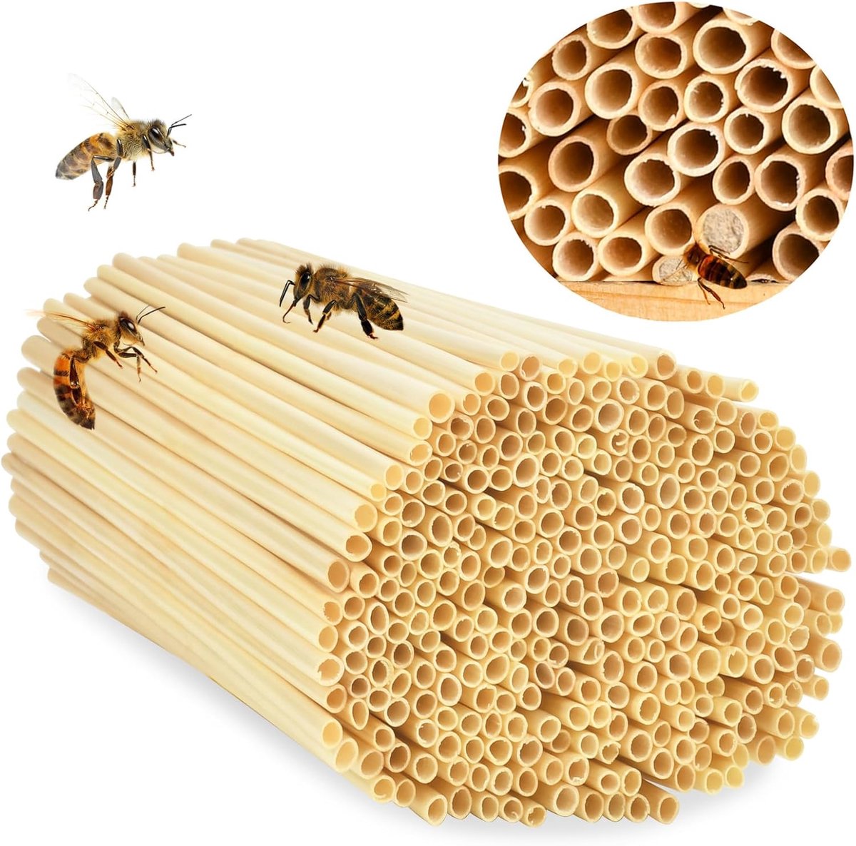 500 nestbuizen, insectenwerend middel, vulmateriaal voor wilde bijen, 20 cm, natuurlijke rietjes voor insectenhotels, wilde bijenhuizen, wilde bijenhuizen
