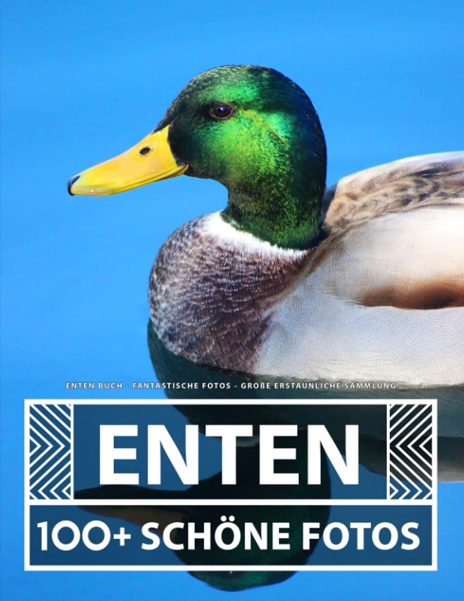 Buch - Fantastische Fotos - Große Erstaunliche Sammlung: 100 Wunderschöne Bildern - Für Kinder und Erwachsene