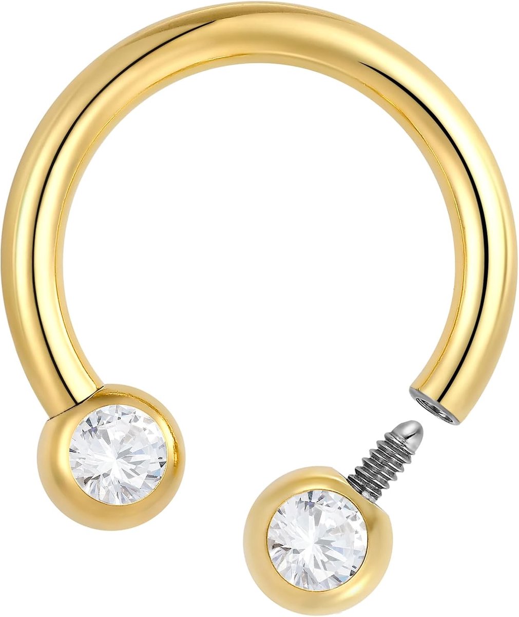 2 STKS Titanium Implantaat Grade Intern Schroefdraad Neus Ringen Hoefijzer Circulaire Barbell Septum Sieraden 16G Neus Oor Piercing Sieraden Conch Helix Rook Lip Kraakbeen