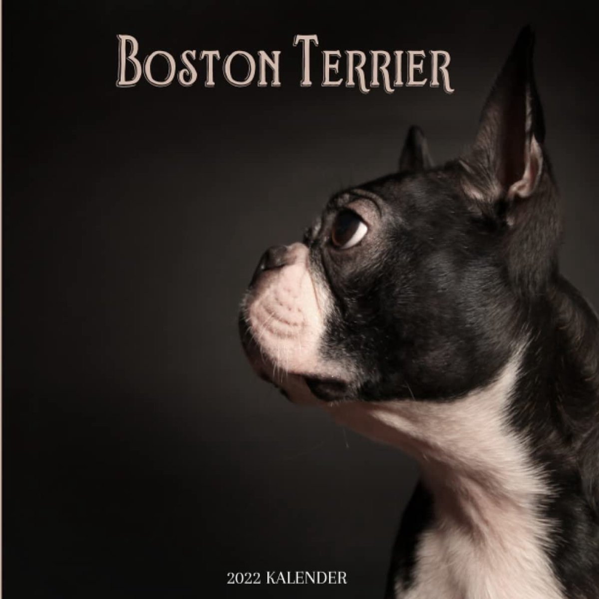 Wandkalender Boston Terrier 2022 - 8.5x8.5 inches - Voor dierenliefhebbers - Leuk cadeau voor vrienden - SnelShoppen