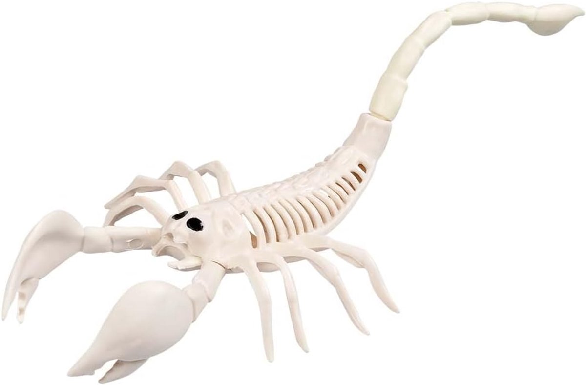 72401 Schorpioen-skelet, maat 31 cm, dummy van kunststof, decoratie voor Halloween, carnaval of themafeest