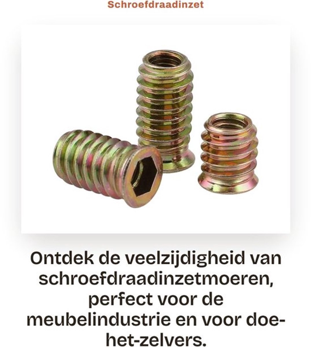 Inschroefmoer M10 x 25 mm - Meubelinzetmoer - Binnenzeskantmoeren - Hoogwaardig Koolstofstaal - 10 Stuks - Slijtvast en Roestvrij - Meubelmoer