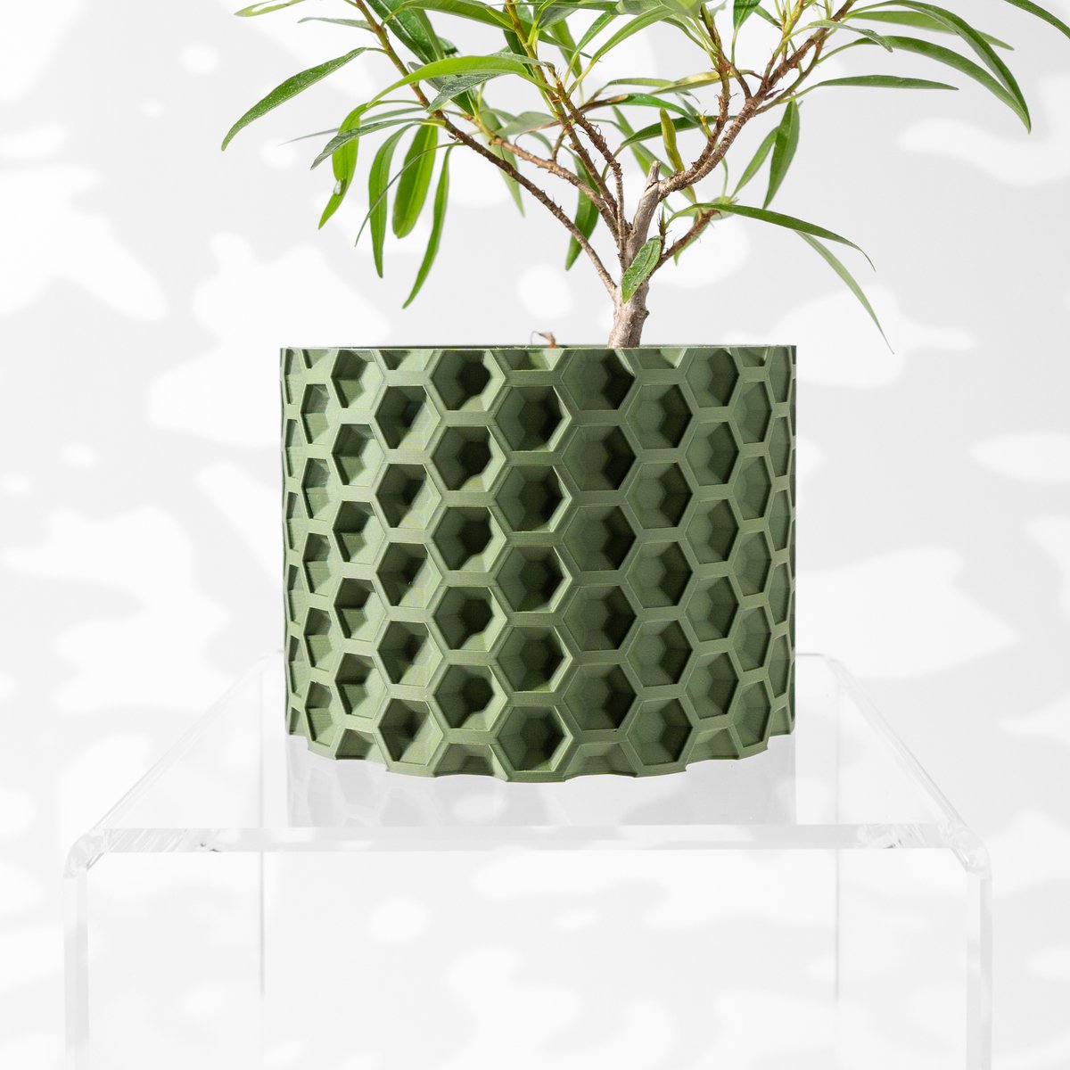 Skushy Armos Bloempot - Moderne Designpot voor Kamerplanten - Sculpturale Plantenpot voor Woonkamer en Kantoor - Premium Woondecoratie