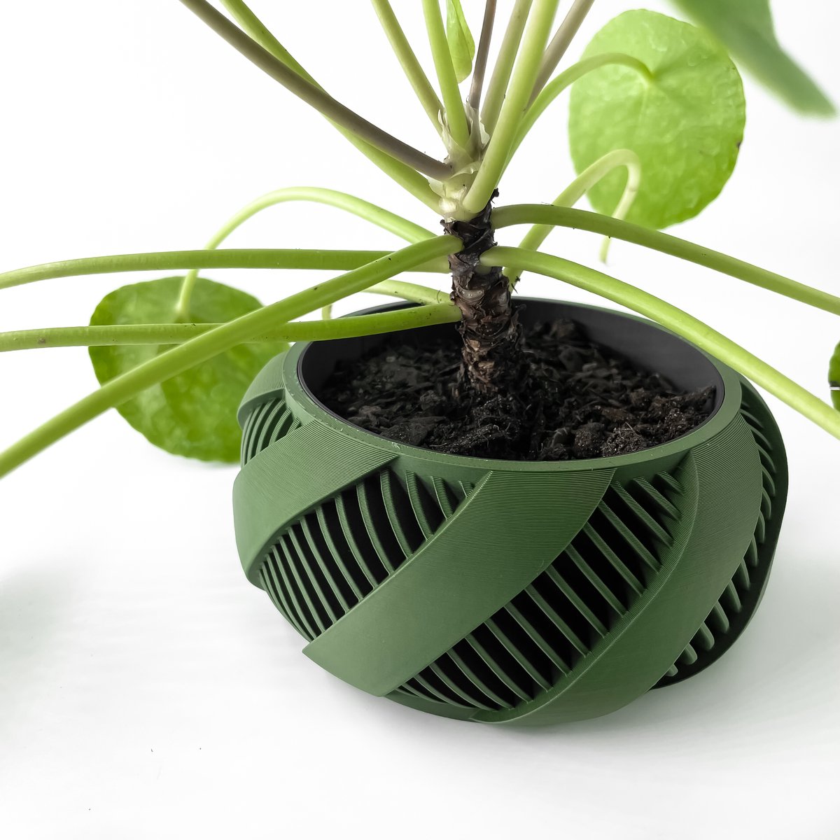 Skushy W11 Bloempot - Moderne Designpot voor Kamerplanten - Sculpturale Plantenpot voor Woonkamer en Kantoor - Premium Woondecoratie