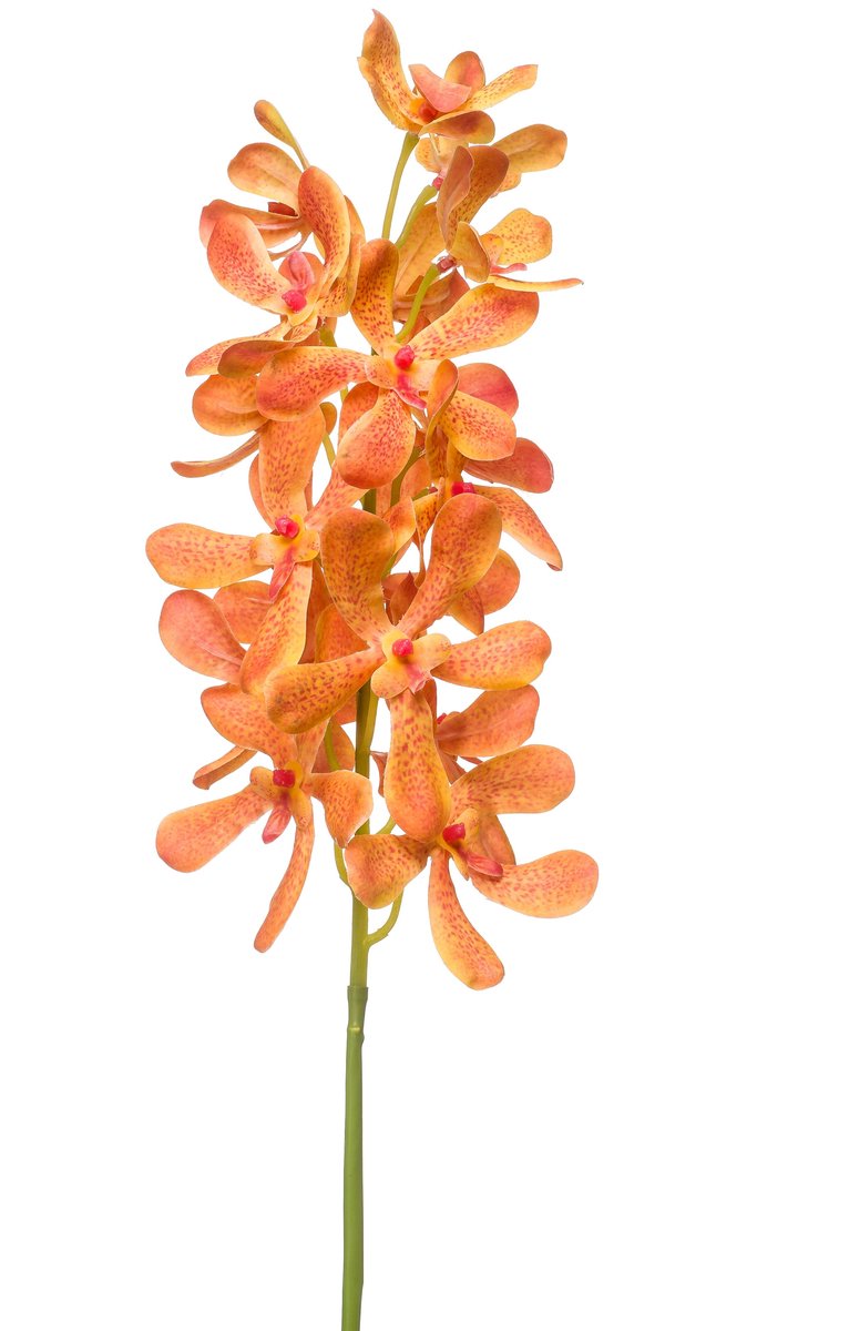 Emerald Kunstbloem Vanda RT 80cm oranje - Kunstplant voor binnen