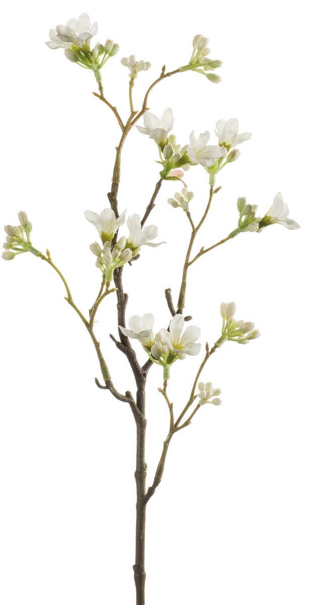 Emerald Kunstbloem Zeven Zonen Bloem 50cm wit - Kunstplant voor binnen