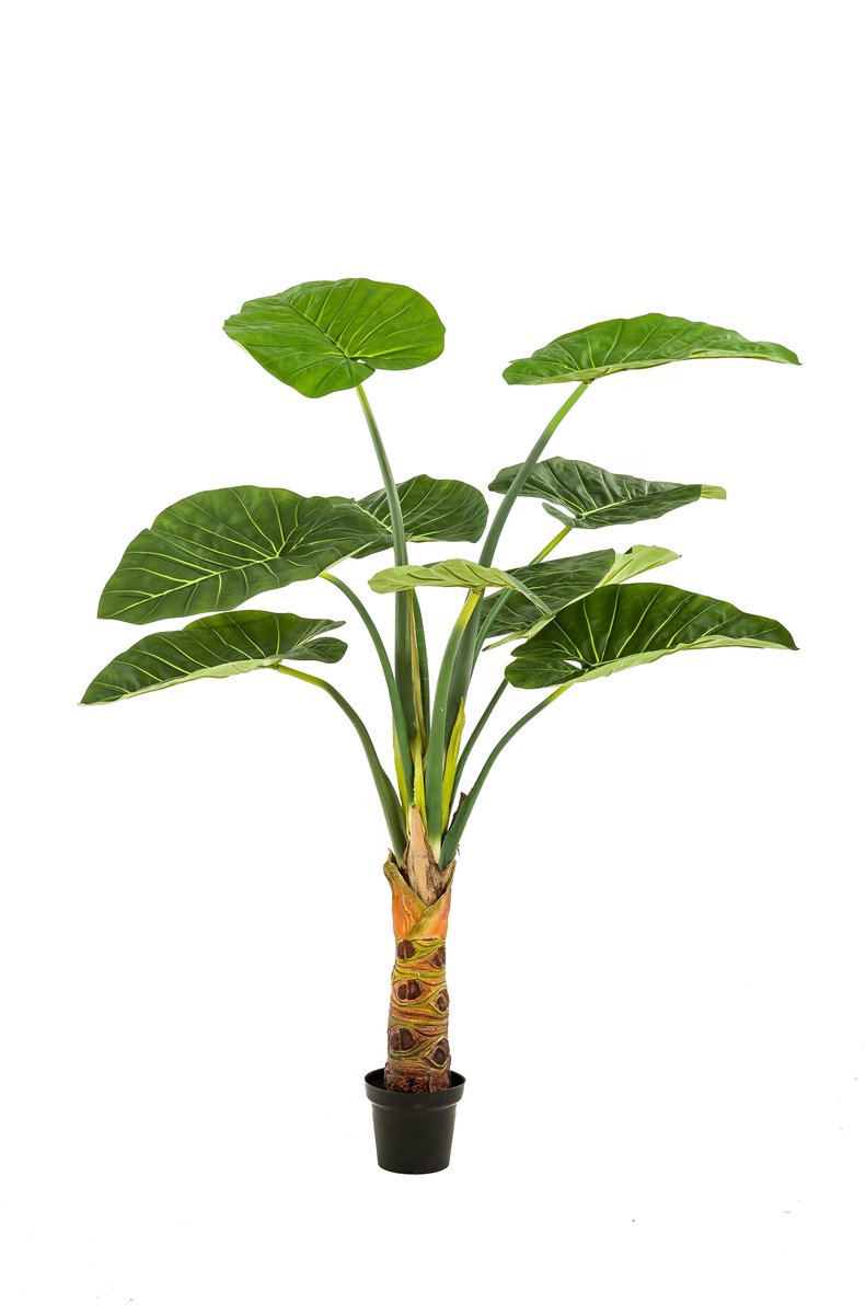 Emerald Kunstplant Alocasia 160cm - Kunstplant voor binnen Groen