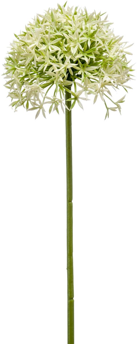 Emerald Kunstbloem Allium 62cm groen - Kunstplant voor binnen