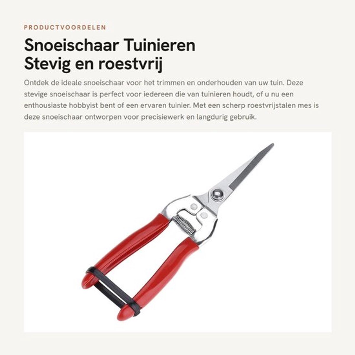 Snoeischaar Stevig - Roestvrij Staal - Tuinieren - Bloemenschaar - Handgereedschap - 20 cm Lengte - Tuinschaar