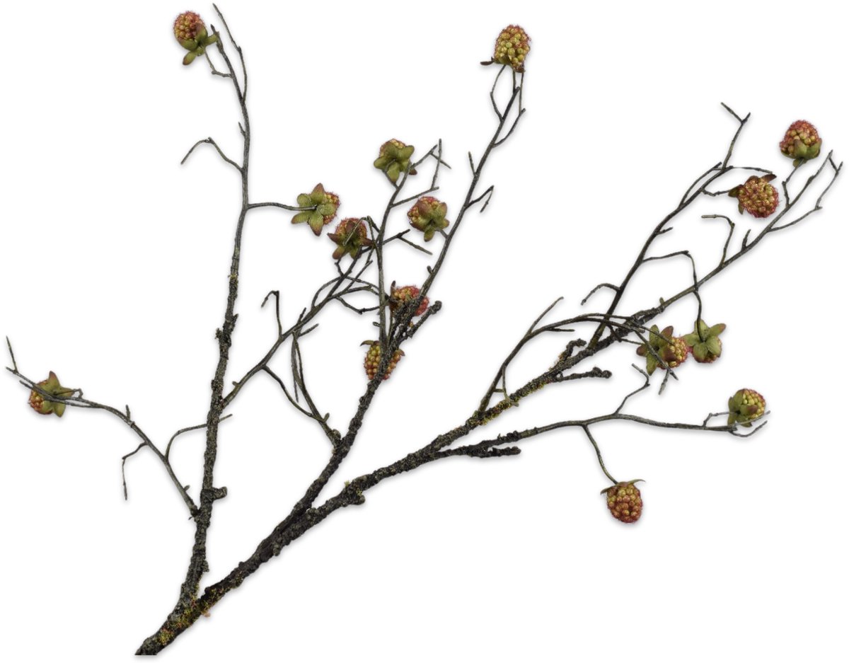 Silk-ka Kunstbloem-Zijden Bloem Bramentak Groen-Roze 74 cm Per 2 Stuks