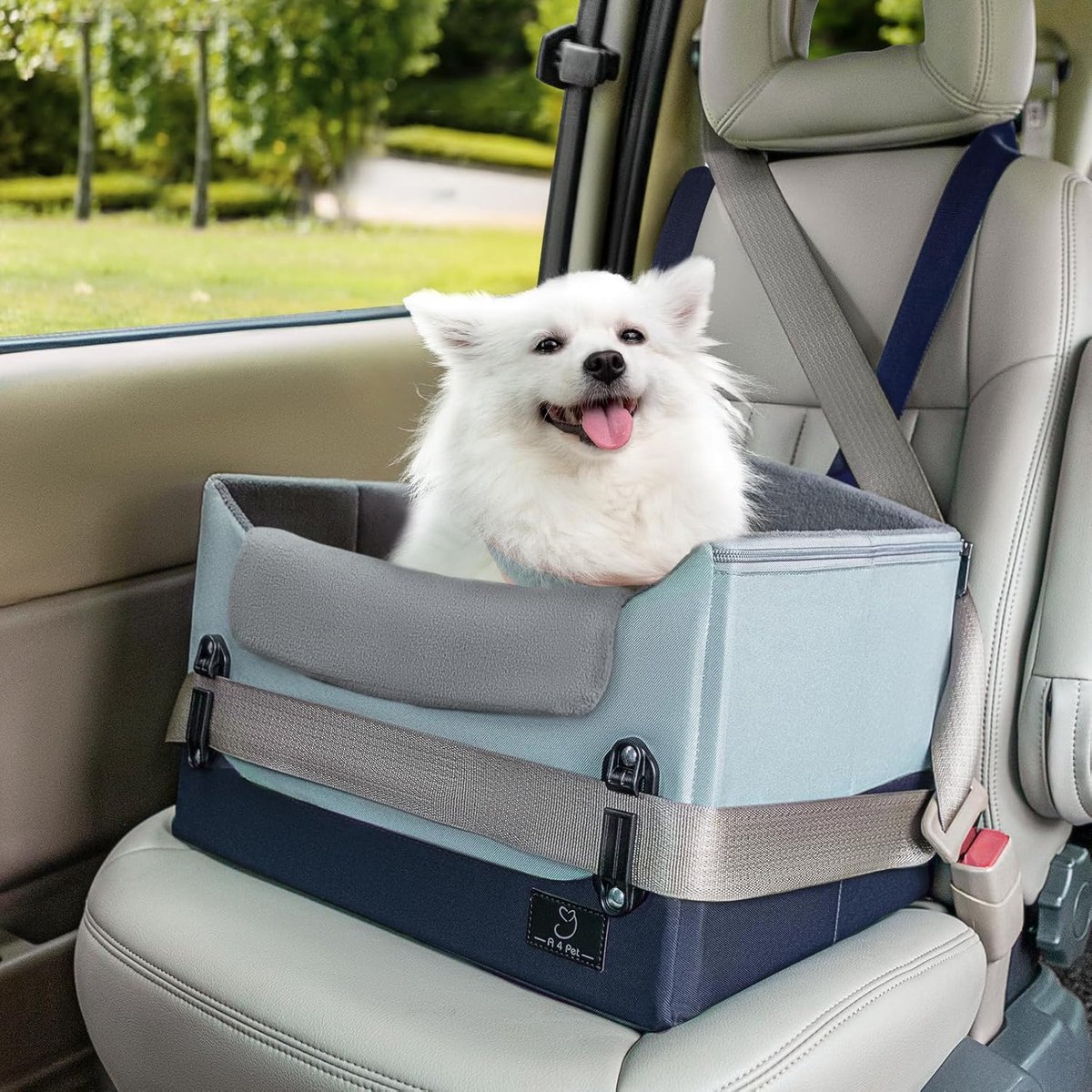 SnelShoppen - Hondenautostoel voor Kleine Honden en Puppy’s - Verhoogd Model met Zacht Kussen en Hoogteverstelling tot 25 Pond - Blauw