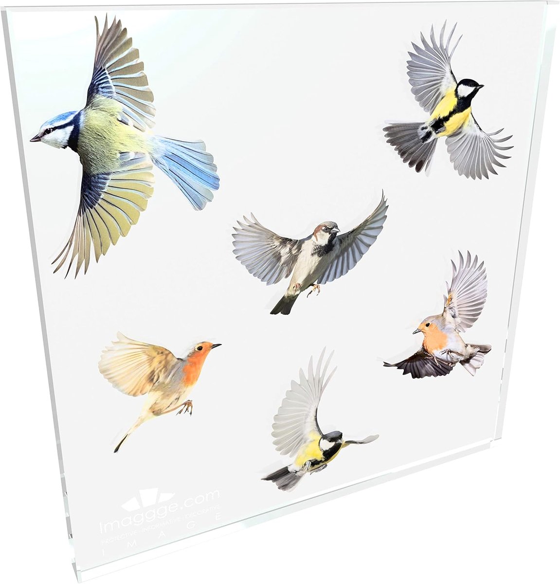 SnelShoppen - 18 Decoratieve Vogelstickers - Anti-collisiedecals voor Ramen, Muren, Tuin - Kleurige Translucente Stickers - 3 Sets van 6 Stuks - Reali