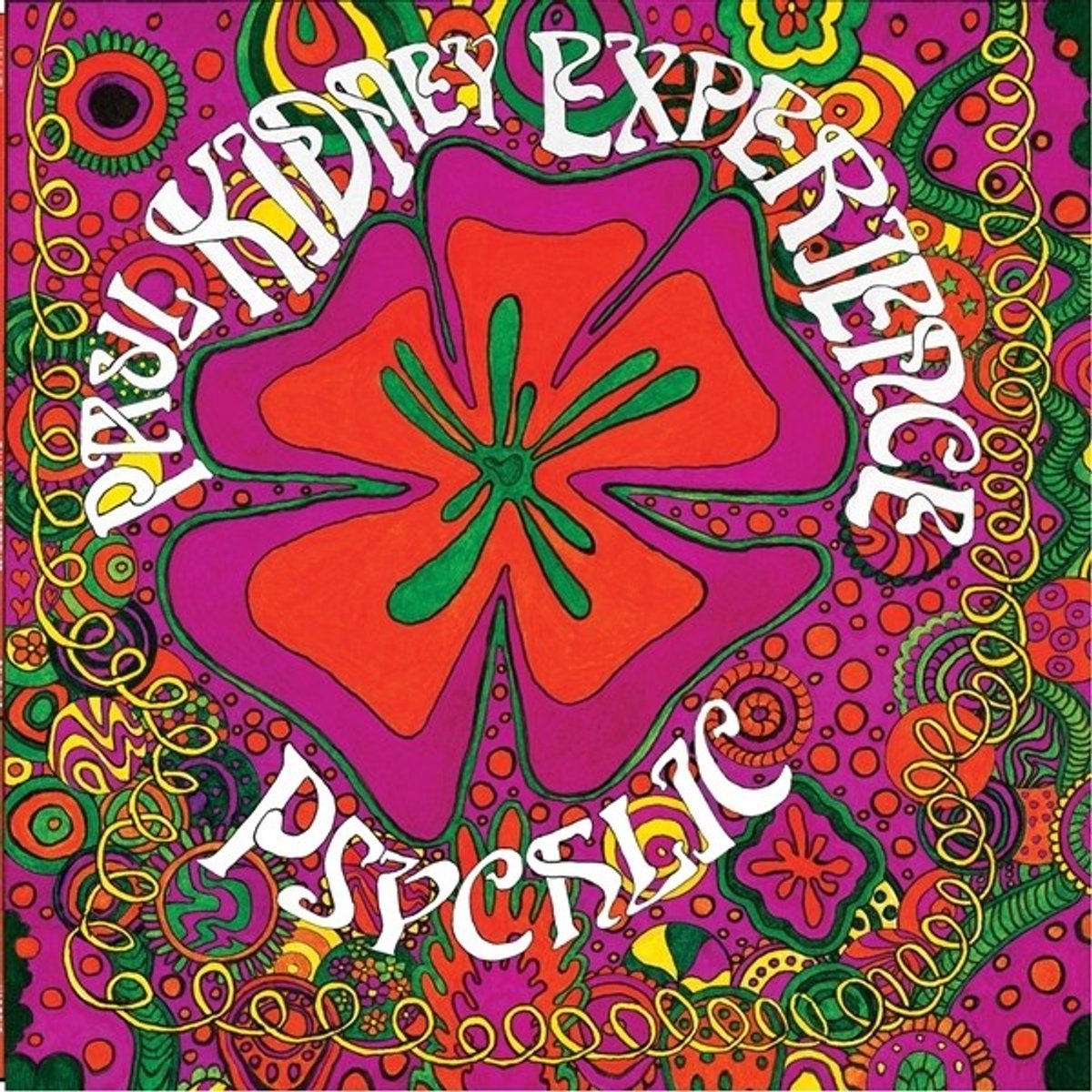 Paul Kidney Experience - Psychlic (LP)