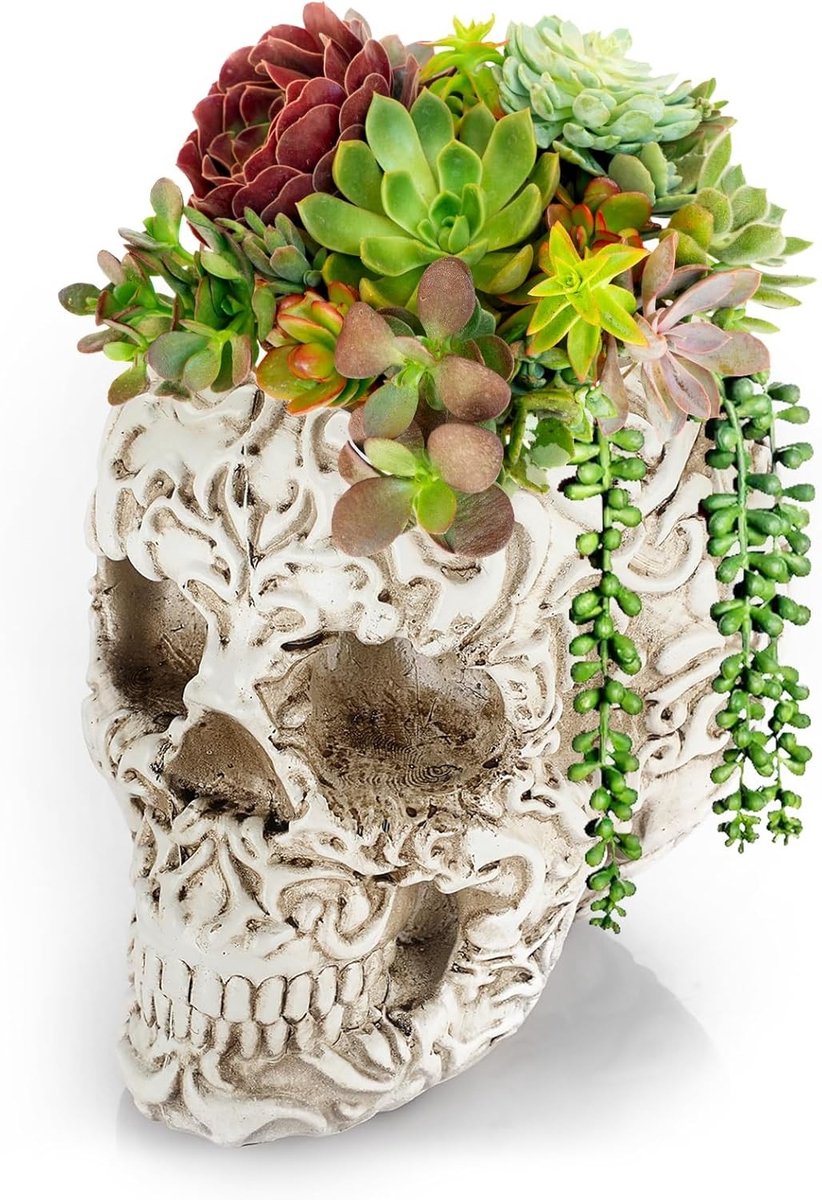 Skelet Bloempot voor Make-up Kwasten en Pennen - Decoratieve Cactus Pot voor Thuis en Kantoor (Wit)