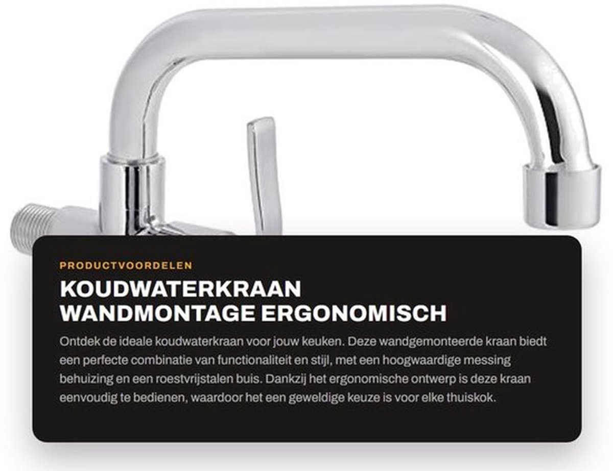 Koudwaterkraan Wandmontage - Messing Behuizing - Roestvrij Stalen Buis - Ergonomische Hand
