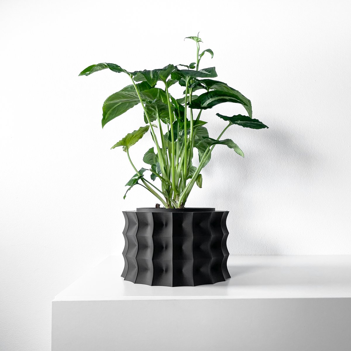 Skushy Kivern Bloempot - Moderne Designpot voor Kamerplanten - Sculpturale Plantenpot voor Woonkamer en Kantoor - Premium Woondecoratie
