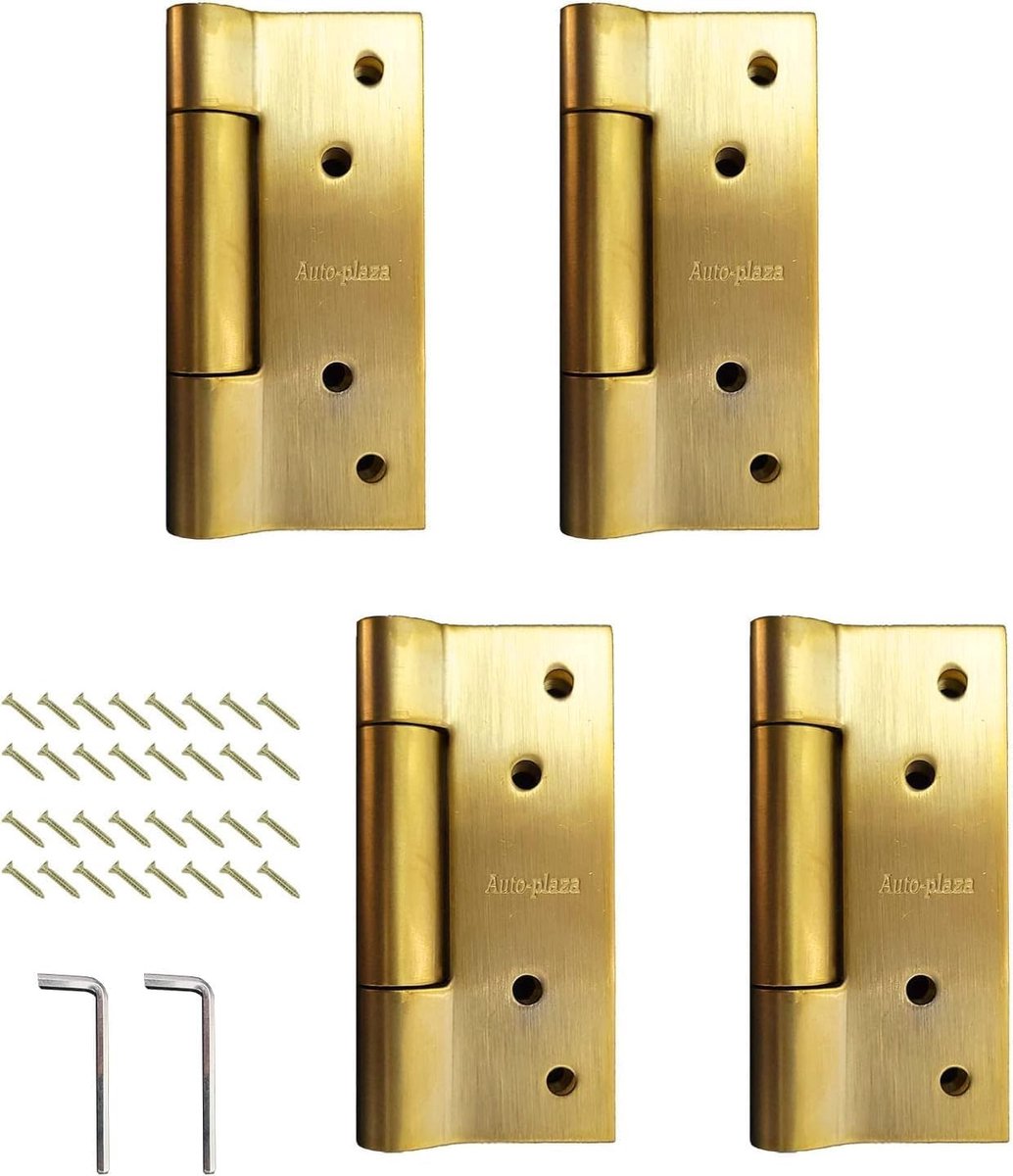 Zware RVS Deurhengsels met Veer - 2 Paar (4 Stuks) - Vierkant, 3mm Dikte, Duurzaam en Sluitend