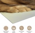 Product afbeelding  7