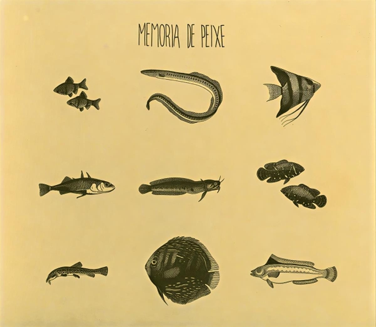 Memoria De Peixe - Memoria De Peixe