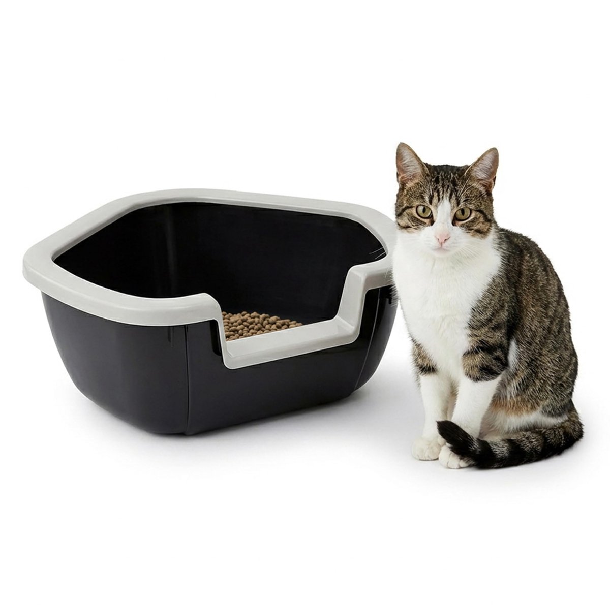 Famanu – Open Kattenbak Met Hoge Randen En Lage Ingang