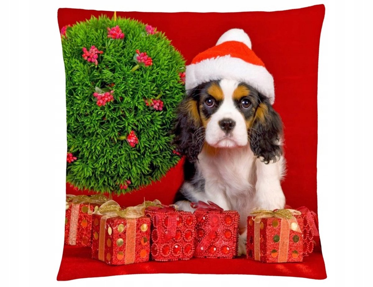 Kerstkussen "Kerstmis" 40x40 cm - Decoratief en Zacht